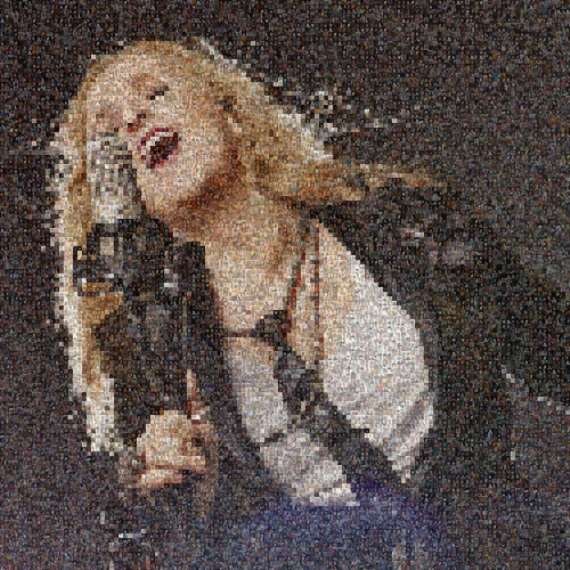 Melissa Etheridge, Artphoto